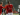 Chido Obi-Martin Cetak Hat-trick Hanya dalam 15 Menit untuk Man United U-18