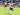 Debut di Serie A Bersama Bologna, Thijs Dallinga Yakin Bisa Bersaing