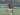 Dias Angga Sebut Skuat Bali United Percaya Diri Hadapi PSIS Semarang