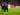 Gol Omar Marmoush Bantu Eintracht Frankfurt Menang 1-0 Atas Slavia Praha