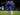 Hadapi AFC Wimbledon, Chelsea Bakal Turunkan Pemain Muda