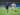 Hasil Banding Belum Keluar, Beckham Masih Disimpan Persib