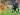 Hasil Pertandingan Ligue 1 Prancis: RC Lens 0-2 Paris St Germain