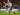 Hasil Pertandingan Premier League: Crystal Palace 3-1 Brentford