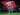 Kylian Mbappe Masih Disiul Fans meski Tak Bermain