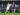 Lagi-lagi Tonali Jadi Penyelamat, Milan Tampil Buruk Saat Tekuk Verona