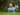 Legenda Golf Australia Meninggal Dunia