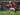 Melirik Catatan Tim Tamu Jelang Newcastle vs Man United di Premier League
