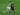 Milan Ingin Rekrut Aissa Mandi dari Real Betis dengan Status Bebas Transfer