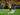 Niclas Fuellkrug Cetak Gol, Borussia Dortmund Kalahkan Paris St Germain