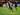 Paul Merson Khawatir Kai Havertz Bakal Dicap Malas seperti Mesut Ozil
