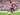 Renan Lodi Diklaim Jadi Full Bek Terbaik di Sepanjang Sejarah Atletico Madrid