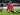 Review Liga Belanda: Twente 1-0 Ajax Amsterdam, Tuan Rumah Patahkan Rekor Tak Terkalahkan Ajax