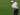Rory McIlroy Terpeleset di Babak Kedua Wells Fargo Championship 2019