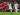 Sejarah Pertemuan Liverpool vs West Ham United di Piala Liga, Siapa Unggul?