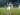 Sudirman Bungkam Terkait Masa Depan Simic Yang Menghilang Dari Tim Persija
