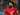 Suka Bekerja Dengan Mohamed Salah, Rui Vitoria Pilih Bertahan di Mesir