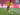 Usia Youssoufa Moukoko Diduga Palsu, Dortmund Langsung Bikin Klarifikasi